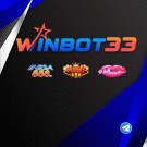 Winbot33